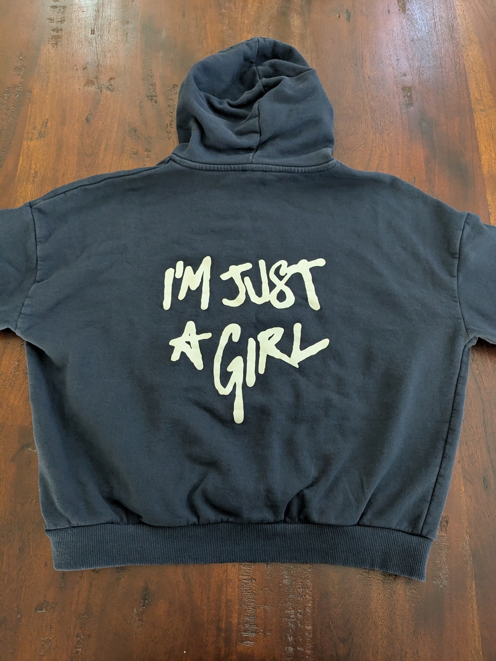 Subdued "I'm Just A Girl" Navy Graphic Hoodie - Medium